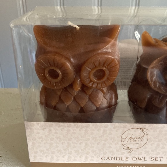 BNIB- 4.7"- Hand Carved- Unscented- 2 Pack- Brown Owl Figural Candles Decor Set - Picture 3 of 17
